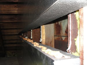 An effective attic insulation system in a South Park Township home