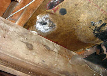 home mold removal in Cecil