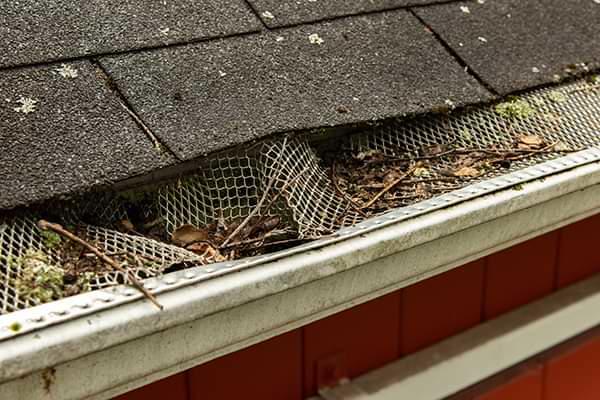 West Virginia & Pennsylvania clogged gutters