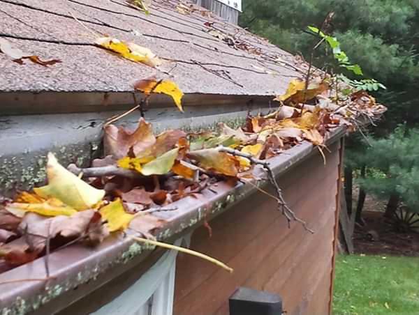 Greater Pittsburgh & Northern Panhandle clogged gutters